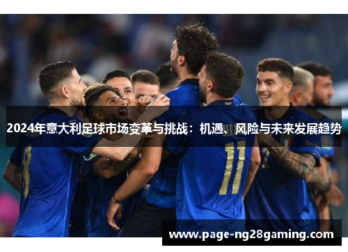 2024年意大利足球市场变革与挑战：机遇、风险与未来发展趋势