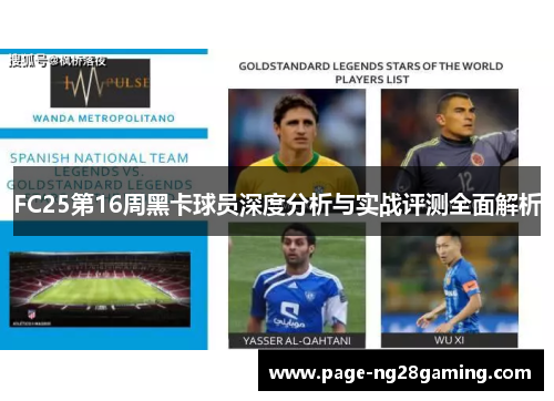 FC25第16周黑卡球员深度分析与实战评测全面解析