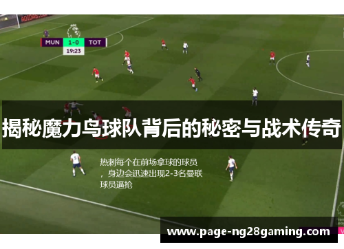 揭秘魔力鸟球队背后的秘密与战术传奇