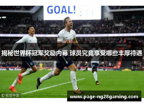 揭秘世界杯冠军奖励内幕 球员究竟享受哪些丰厚待遇