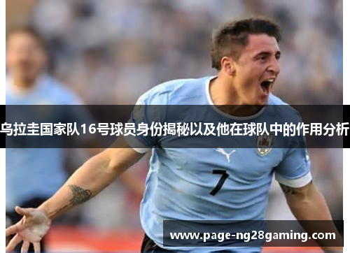 乌拉圭国家队16号球员身份揭秘以及他在球队中的作用分析