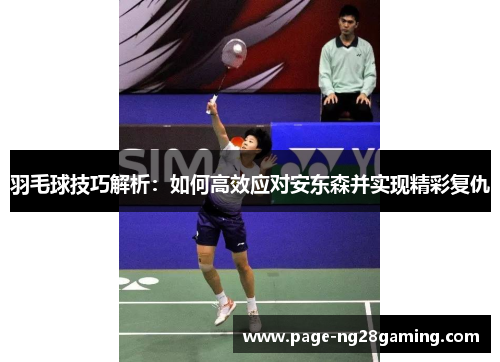 羽毛球技巧解析：如何高效应对安东森并实现精彩复仇