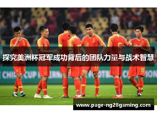 探究美洲杯冠军成功背后的团队力量与战术智慧
