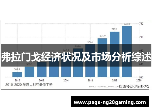 弗拉门戈经济状况及市场分析综述