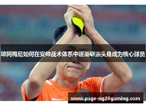 琼阿梅尼如何在安帅战术体系中逐渐崭露头角成为核心球员